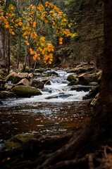 górska rzeka jesienią