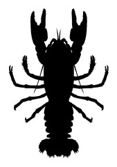 silhouette of an animal crayfish