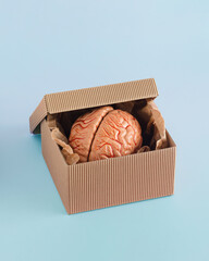 Minimal, creative, abstract, surreal concept made of a model of human brain in an open cardboard gift box on a pastel blue background. An idea for Halloween, medical card or healing and brain health.