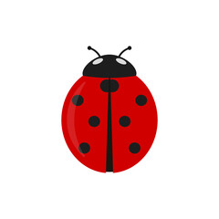 Ladybug icon. Vector illustration. Flat design. Isolated.