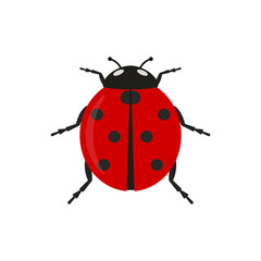 Ladybug icon. Vector illustration. Flat design.