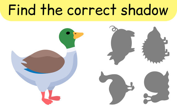 Find the correct shadow. Kids game. Educational matching game for children. Animal theme