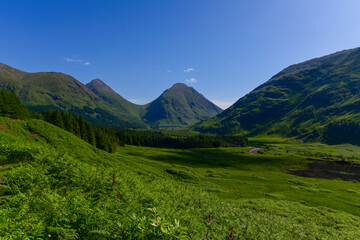 Obraz premium Glen Etive Scottish Glens