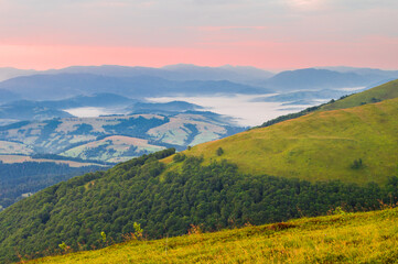 Morning on the slopes of the mountains. Beautiful summer landscape on remote mountains with sea of fog and sky in sunrise colors.  Ukraine, Carpathians, Borzhava mountain range