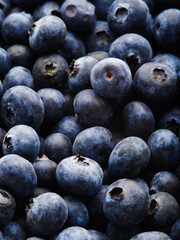 Lots of fresh blueberries. Healthy berry, vitamins, antioxidants, vegetarian food, ingredient for different dishes and drinks. Cooking, supermarket, forestry and agriculture.