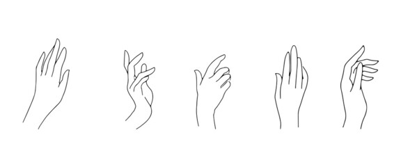 A set of gestures of female palms. Thin hand lines on a white background.