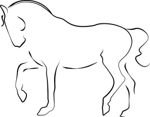 illustration of an dressage horse