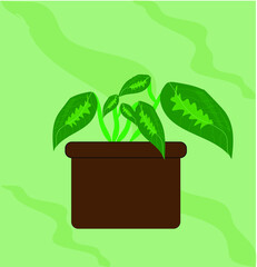 Vase with green leaves on green background with light green stripes.