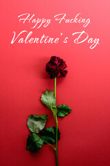 Happy Fucking Valentines Day Card design. Withered rose on red background with text.