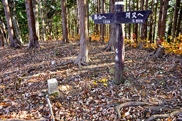 奥武蔵　紅葉の藤棚山の山頂