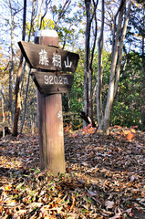 奥武蔵　紅葉の藤棚山の山頂