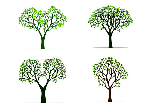 Set Green Trees. Vector outline Illustration. Plant in Garden.