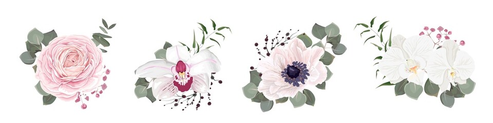 Vector flower set. Pink roses, white anemones and orchids, eucalyptus, pink gypsophila, green plants and leaves. Flowers on white background