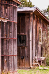 old wooden house in the woods