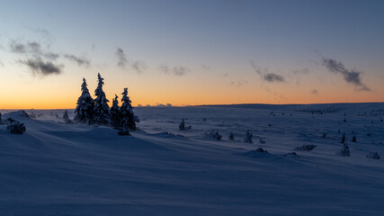 Fototapeta na wymiar Sunset in the mountains. Snow-covered trees against the yellow-blue sky. Snow drifts
