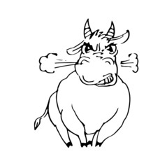 Angry bull funny. Cheerful wild animal. A comical character. Outline sketch. Hand drawing is isolated on a white background. Vector