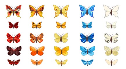 Set of beautiful butterflies in fun cartoon style. Summer pretty insects. Object isolated on white background. Vector