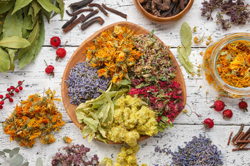 Wooden plate of medicinal herbs. Healing plants, roots, berries, ingredients for making of herbal...