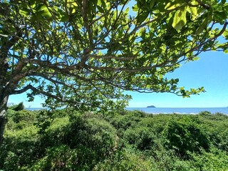 trees, beach, landscape and island