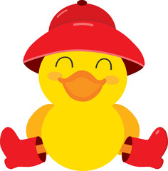 Duck with Red Raincoat