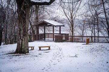 Gazebo in a snowy forest