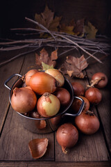 Freshly harvested onions of different types and sizes in a pot on a wooden table. High quality photo