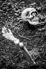 Halloween Decoration