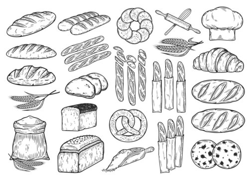 Vector hand-drawn bread illustrations and bakery design elements, food sketches, vector icons