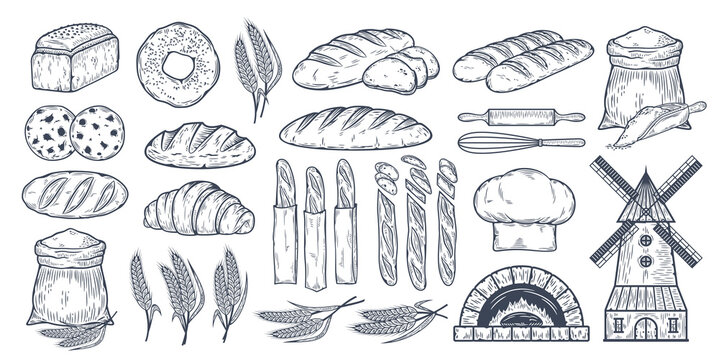 Vector hand-drawn bread and bakery design illustrations, food sketches, vector icons