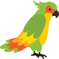 Tropical Birds Parrot