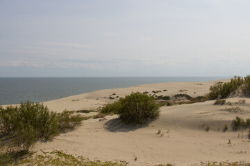 Landscape scenery. Epha Height at Curonian Spit, Kaliningrad Oblast, Russia.