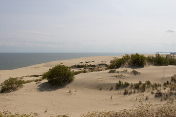 Landscape scenery. Epha Height at Curonian Spit, Kaliningrad Oblast, Russia.