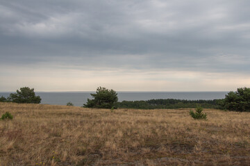 Fototapeta na wymiar Landscape scenery. Epha Height at Curonian Spit, Kaliningrad Oblast, Russia.