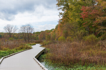 Huntley Meadows Park in Autumn. Horizontal Orientation. Boardwalk into marshland.