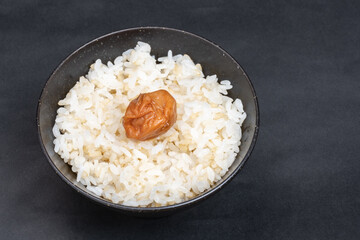 梅干しがのった玄米入りご飯　米