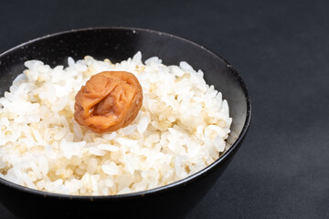 梅干しがのった玄米入りご飯　米
