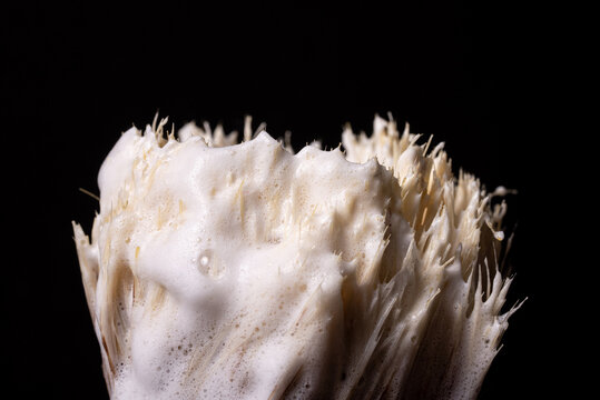 Close Up Of Wet Shaving Brush With Soap