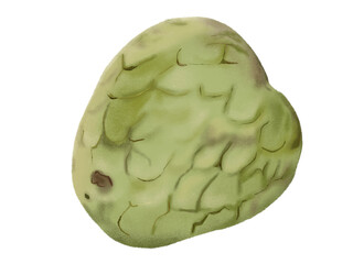 Realistic cherimoya procreate illustration isolated on white background. Food, recipe and cook book clipart. Menu, cafe and  restaurant graphic. Exotic tropical fruit