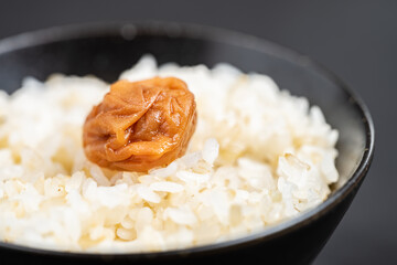 梅干しがのった玄米入りご飯　米	