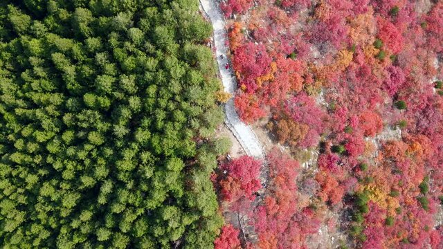 Aerial photography of Jinan Southern Mountain Forest Park