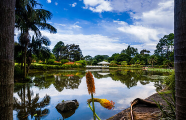 View of Rotunda and Duck Pond in Wollongong Botanic Garden