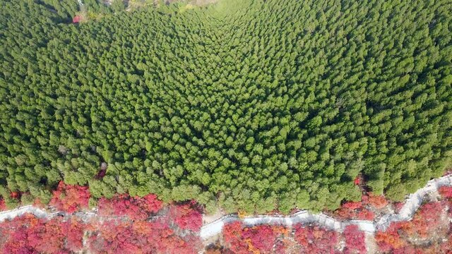 Aerial photography of Jinan Southern Mountain Forest Park