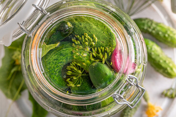Preparation for pickled cucumbers with dill, garlic and horseradish.