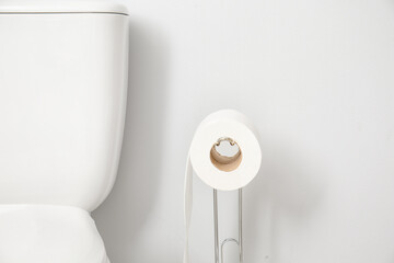 Holder with roll of paper and toilet bowl near light wall