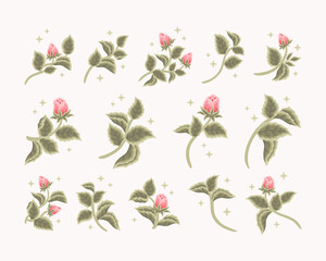 Naklejka premium Collection of vintage romantic pink rose flower bud and green leaf branch for greeting cards, wedding invitation, decoration, craft, journal, feminine logo, beauty label, branding elements