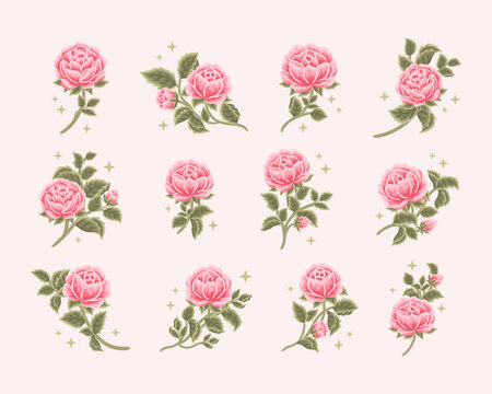 Collection of vintage romantic pink rose and peony flower for greeting cards, wedding invitation, decoration, craft, journal, feminine logo, beauty label, branding elements