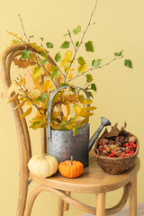Beautiful autumn composition with branches, pumpkins and basket on wooden chair