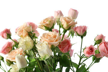 Bouquet of beautiful fresh roses on white background