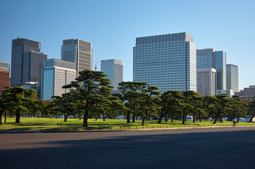 Skyscrapers of Marunouchi district, viewed through the Kokyo Gai