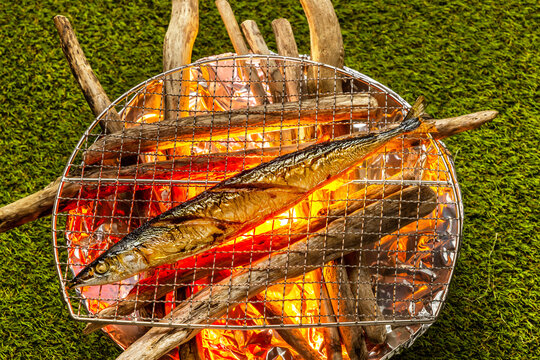 さんまの塩焼き　Grilled saury with salt Japanese food 